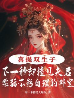 独家喜提双生子，下一秒却撞见夫君柔弱不能自理的外室全本大结局小说阅读-欧迈阅读网