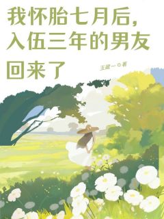 我怀胎七月后,入伍三年的男友回来了by玉藏一免费阅读小说大结局-欧迈阅读网