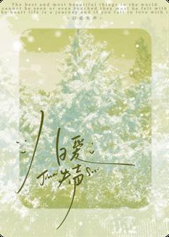 抖音热推小说旧爱失声全文在线阅读