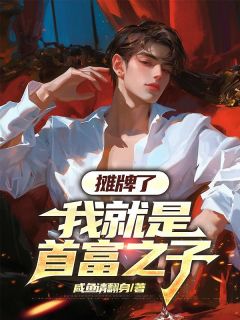 摊牌了，我就是首富之子贺锦州苏宁悦全章节在线阅读