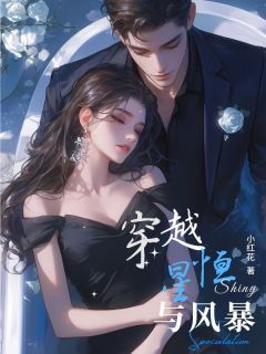 主角宋昭昭沈聿风小说爆款穿越恒星与风暴完整版小说