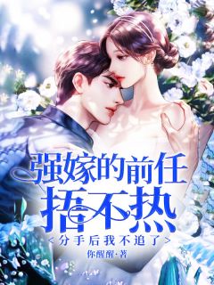 抖音爆款强嫁的前任捂不热，分手后我不追了完整小说（全文阅读）-欧迈阅读网