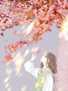 老公假死骗我还债(新书)小说_清雪楚轩阅读