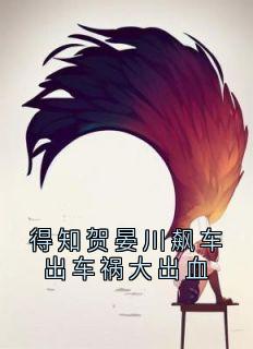 书荒必备得知贺晏川飙车出车祸大出血全文章节阅读