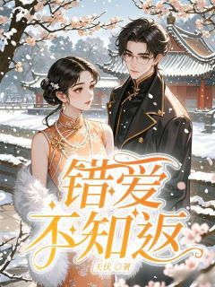 错爱不知返在哪免费看，林婉芝宋煜祺小说章节目录阅读