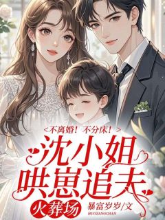 沈念安霍瑾川全章节阅读-不离婚！不分床！沈小姐哄崽追夫火葬场全文分享阅读