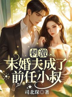 刺激!未婚夫成了前任小叔(苏婉禾司怀礼)全文章节在线阅读-欧迈阅读网