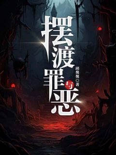 摆渡罪与恶小说的书名是什么-欧迈阅读网