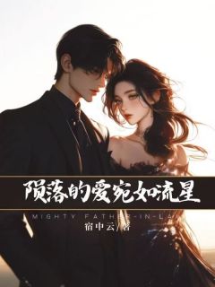 老书虫书荒推荐坠落的爱,宛如流星txt小说阅读