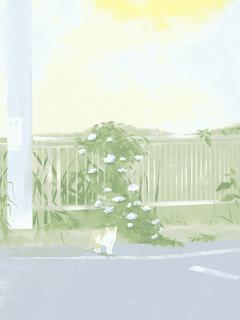 林安顾霖全文阅读最新 林安顾霖小说目录