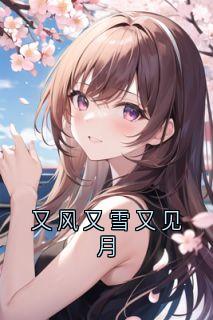 又风又雪又见月(贺凌屿黎婉辞)最新章节试读-欧迈阅读网