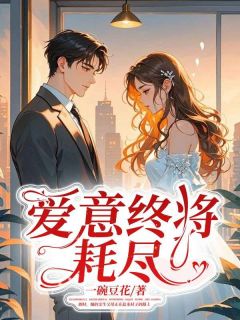 爱意终将耗尽林书瑶沈逸飞全本小说（爱意终将耗尽）全章节小说目录阅读-欧迈阅读网