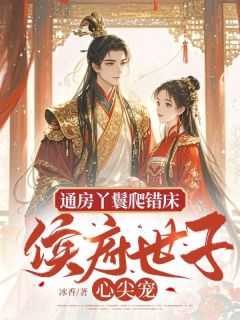 快手热推通房丫鬟爬错床：侯府世子心尖宠小说主角梅久傅砚辞在线阅读