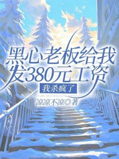 黑心老板给我发380元工资，我杀疯了小说(完结版)-陈晨老板在线阅读-欧迈阅读网