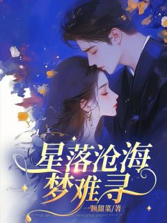 星落沧海梦难寻小说(连载文)-尹向晴萧宜年无广告阅读