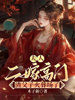 抖音小说夫人二嫁高门，渣父子火葬场了主角慕晚舟沈彦君全文小说免费阅读-欧迈阅读网