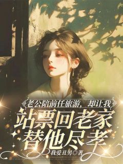 老公陪前任旅游,却让我站票回老家替他尽孝(沈至豪白清清)精彩小说目录阅读