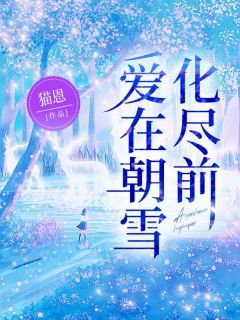爱在朝雪化尽前小说(完本)-陆昭雪沈宗远无错版阅读
