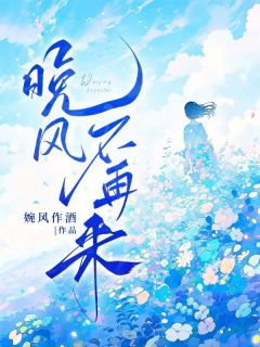 晚风不再来(乔晚傅修宁)最新章节