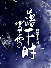 贝果杀手写的小说当雪落下时在线阅读-欧迈阅读网