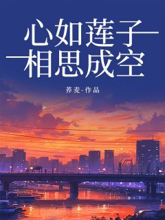 心如莲子,相思成空小说全集(夏炎洛冰河)无弹窗广告阅读