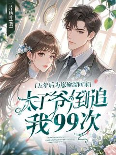 五年后为崽偷溜回家，太子爷倒追我99次（许安恬陆景序）精彩小说目录阅读