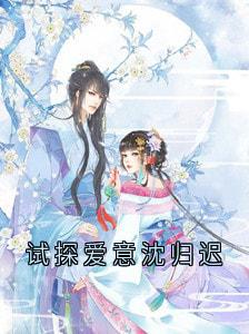 精品小说试探爱意沈归迟全文目录畅读