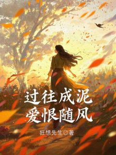 过往成泥,爱恨随风小说最后结局,苏婉林城百度贴吧小说全文免费-欧迈阅读网