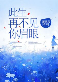 此生再不见你眉眼在哪免费看,沈冉顾淮安小说章节目录阅读