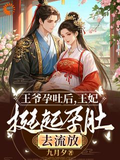 沈依沐付书恒小说章节目录阅读-王爷孕吐后，王妃挺起孕肚去流放在哪免费看