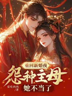 重回新婚夜,怨种主母她不当了是什么小说崔攸宁燕嘉树全本免费阅读