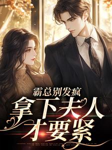 霸总别发疯,拿下夫人才要紧小说(完结版)-赵舒晚顾砚琛在线阅读-欧迈阅读网