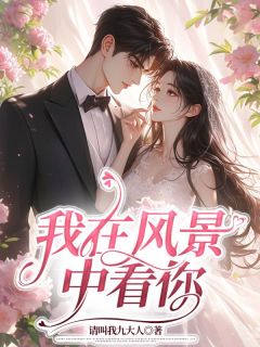 精选好书我在风景中看你无删减版全文在线