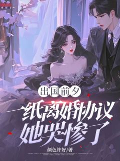 【出国前夕,一纸离婚协议她哭惨了!】小说在线阅读-出国前夕,一纸离婚协议她哭惨了!免费版目录阅读全文-欧迈阅读网