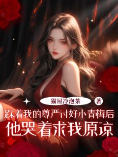 裴钰宋止徐婉音是哪部小说的主角 裴钰宋止徐婉音全文阅读