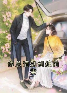 傅总请别纠缠前妻小说-许纯傅斯逸全篇阅读