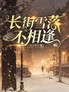 好书推荐长街雪落不相逢桑晚池俞全文在线阅读