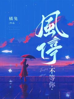 风停不等你免费阅读全文,主角宋满傅其深小说完整版最新章节