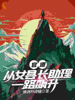 官道：从女县长助理一路飙升是什么小说步青云王大美全本免费阅读