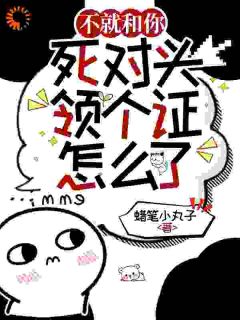 不就和你死对头领个证,怎么了?by蜡笔小丸子(江晚沈峤南)未删节免费阅读-欧迈阅读网