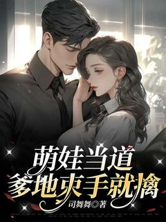 良心推荐萌娃当道，爹地束手就擒小说试读