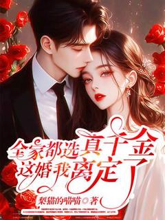 苏盛夏霍廷琛小说无广告阅读