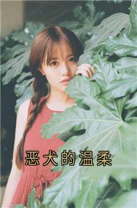 恶犬的温柔小说全章节目录阅读BY佚名完结版阅读