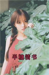 作者佚名写的半糖情书小说大结局全章节阅读