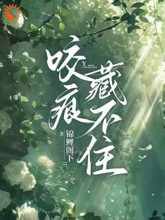 沈织星苏遇沈织星江逸舟大结局在线阅读