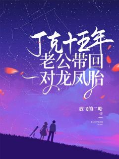 丁克十五年,老公带回一对龙凤胎小说(完本)-徐晴顾景舟薇岚无错版阅读