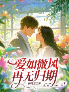 爱如微风,再无归期舒艺贺骏辰全章节在线阅读