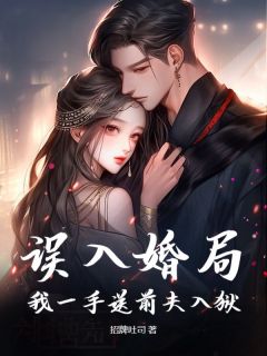 小说误入婚局，我一手送前夫入狱主角为傅茗蕊程洲免费阅读