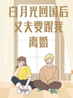 白月光回国后,丈夫要跟我离婚小说全章节目录阅读BY蒹葭完结版阅读