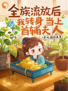 快手全族流放后,我转身当上首辅夫人小说全本章节大结局